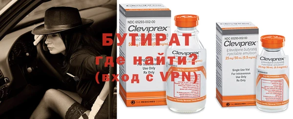 прущие грибы Богородицк