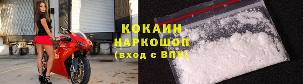 прущие грибы Богородицк