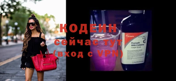 прущие грибы Богородицк