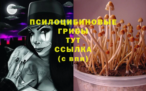 не бодяженный Богородск
