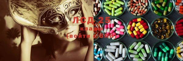 прущие грибы Богородицк