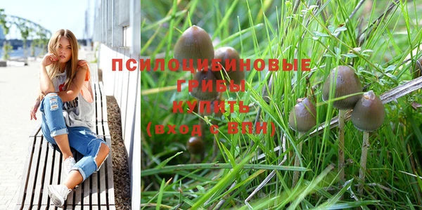 не бодяженный Богородск