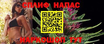 герыч Кингисепп