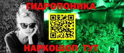 герыч Кингисепп