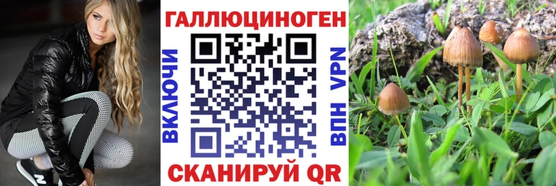 Галлюциногенные грибы MAGIC MUSHROOMS  omg зеркало  Валуйки  как найти наркотики 