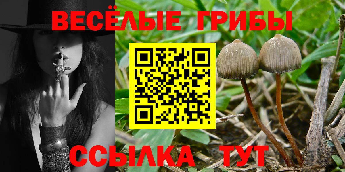Валуйки  наркошоп  Вход с VPN  Псилоцибиновые грибы прущие грибы 